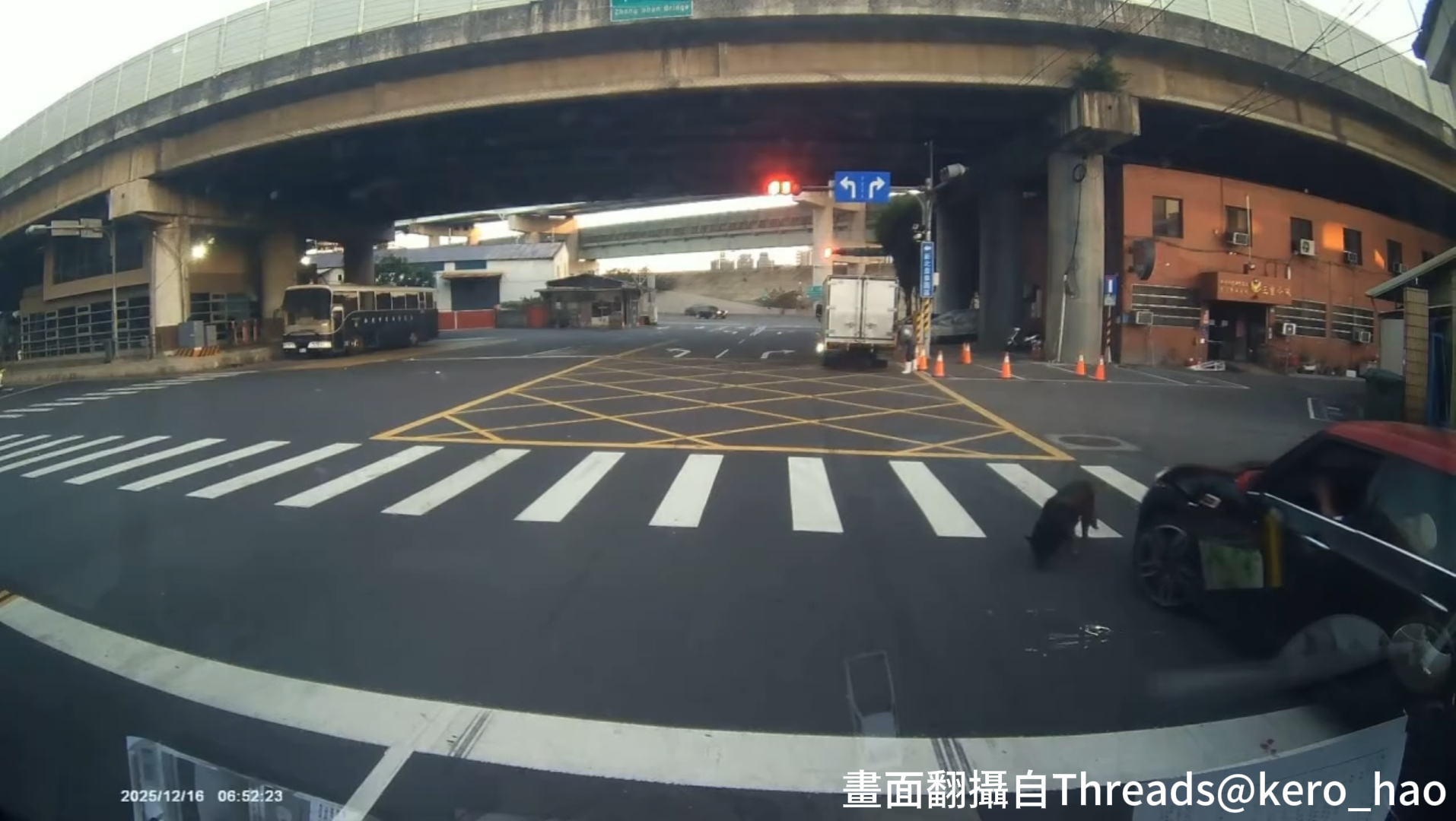 1名駕駛黑色MINI COOPER的男子,先是公然違規紅燈迴轉,無視車前有隻黑狗直接將其撞翻,甚至前輪輾過後,車輛有明顯彈跳後也裝作無事發生一般,持續加速連帶後輪再次輾過黑狗。